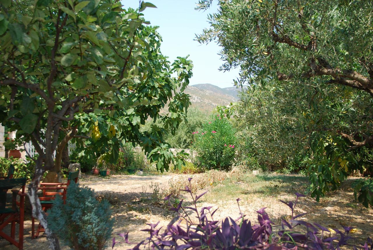 Anatoli Labreon Hotel Agia Marina  ภายนอก รูปภาพ