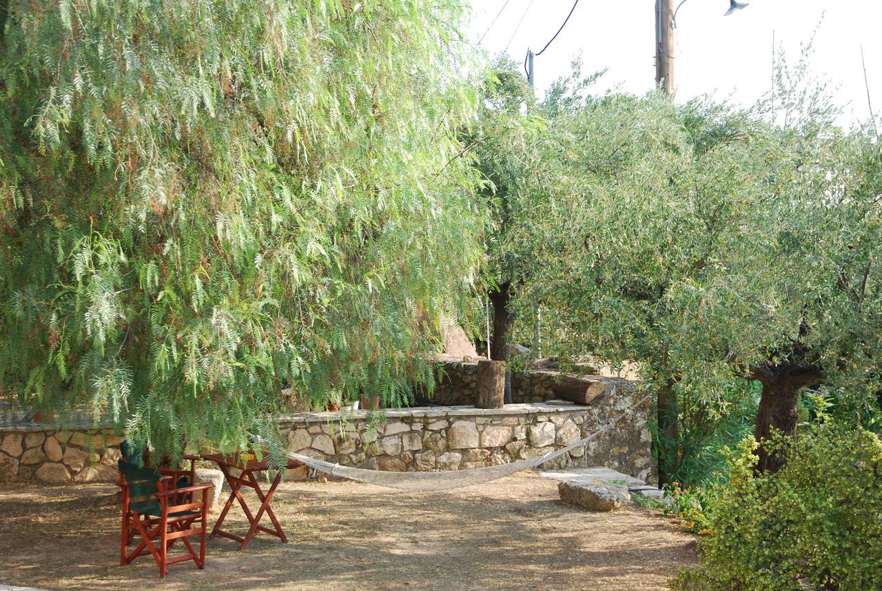 Anatoli Labreon Hotel Agia Marina  ภายนอก รูปภาพ